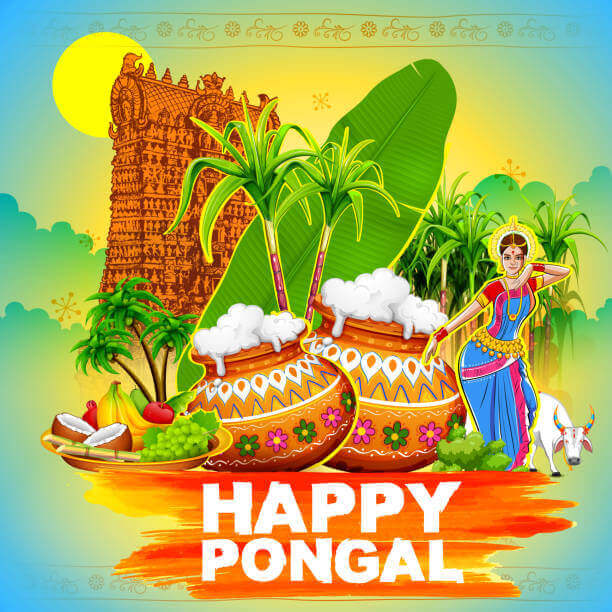 happy pongal image