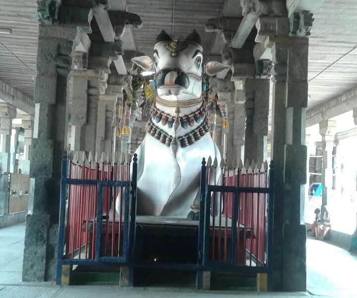 thiruvidaimaruthur mahalingeswarar temple nandi