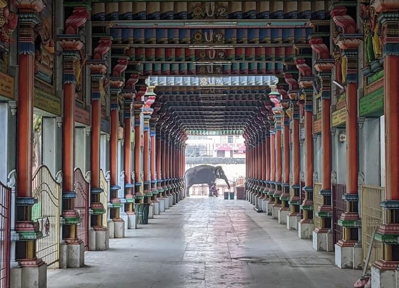 oppiliappan temple elephant and inside view