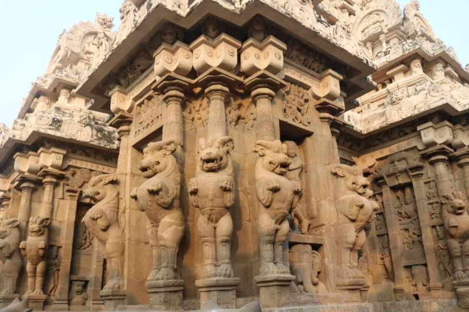 kanchi kailasanathar temple yaali