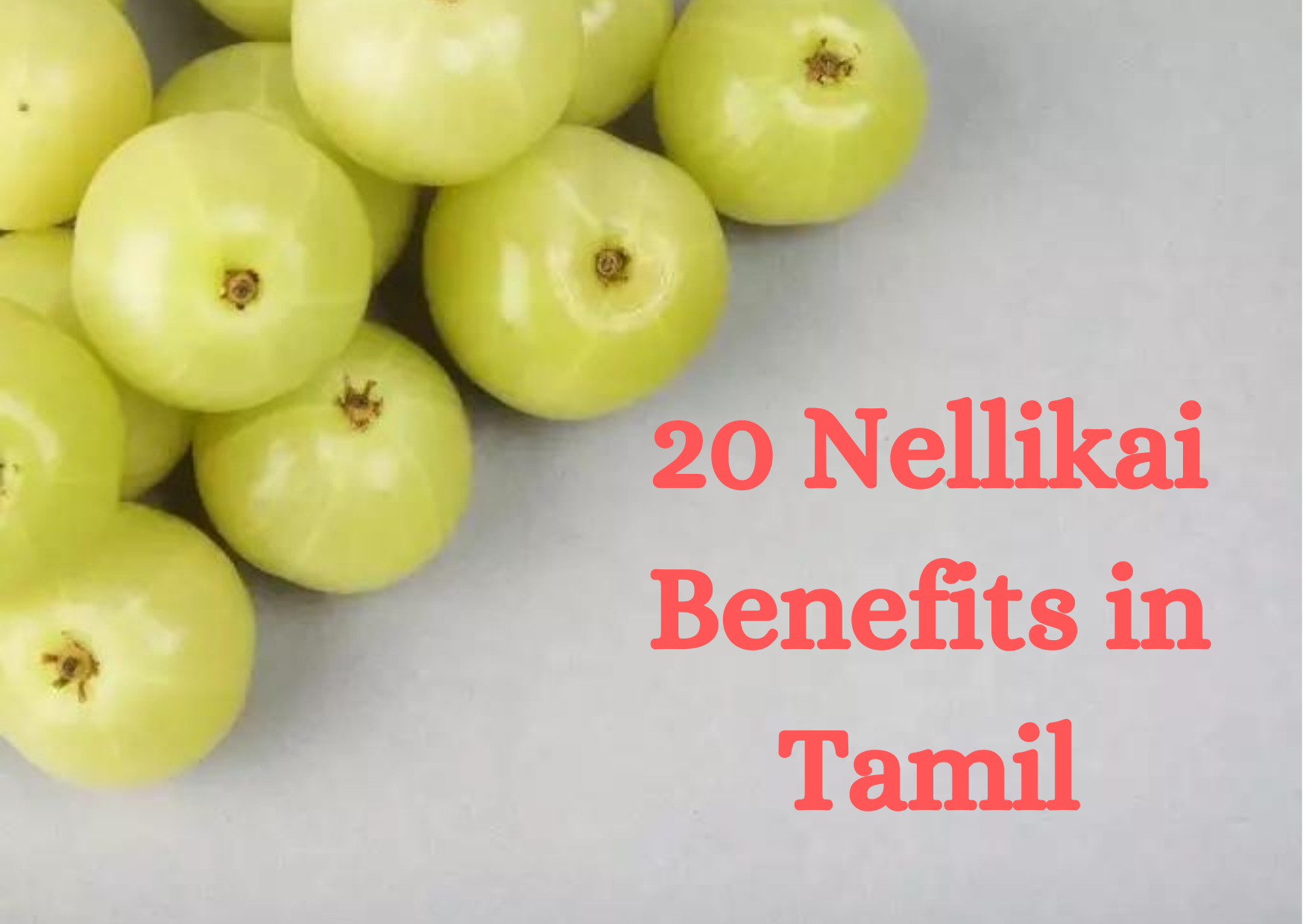 20 Nellikai Benefits in Tamil