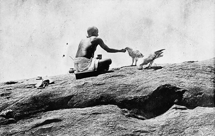 food served to eagles at thirukazhukundram temple