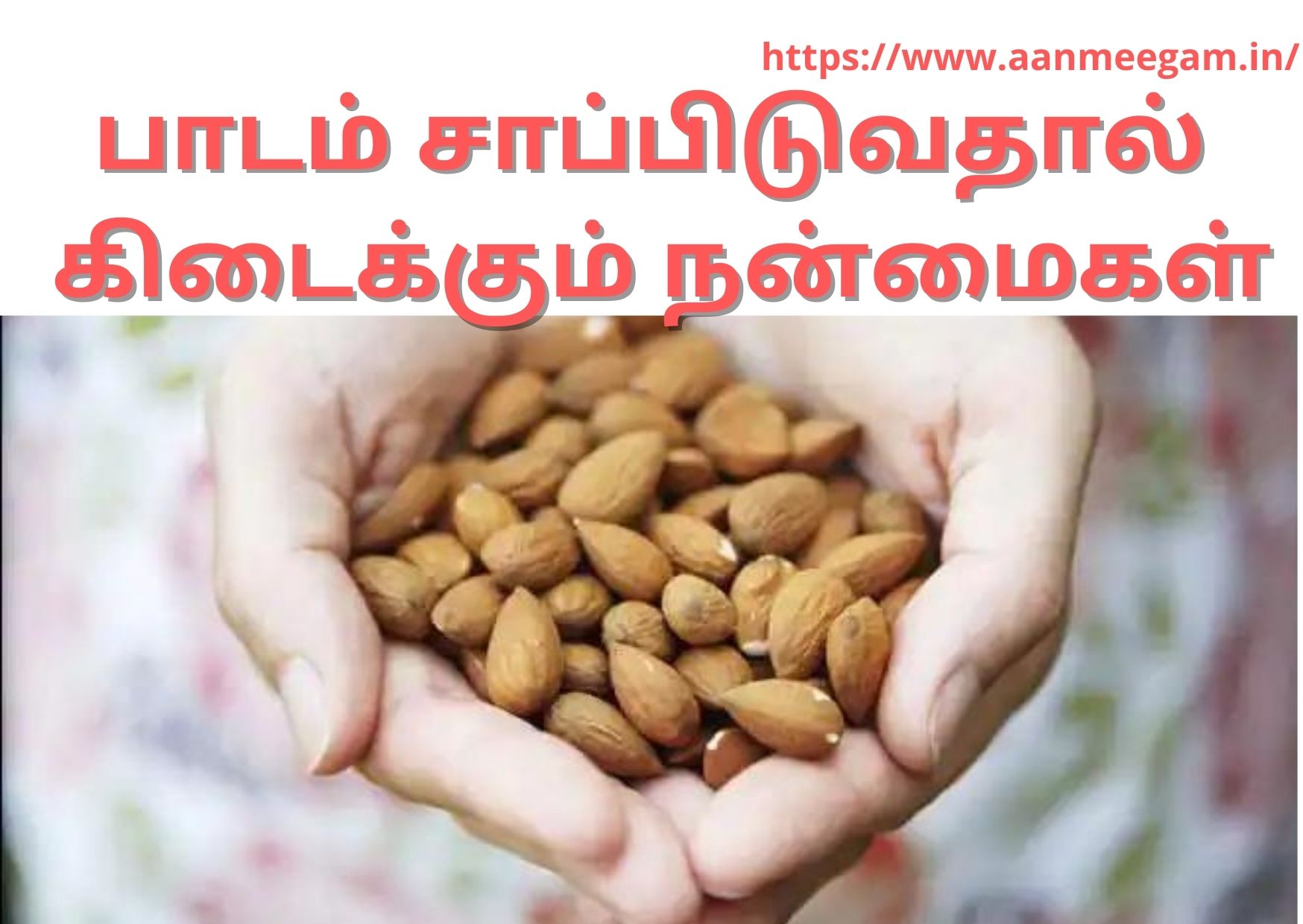 benefits of badam