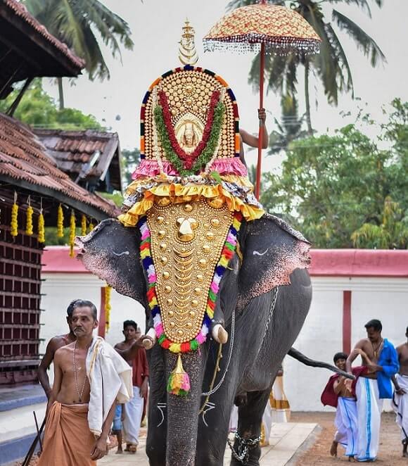 thiruvarppu krishna temple elephant