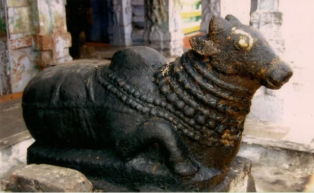 thiruvallam vilvanatheswarar temple nandi