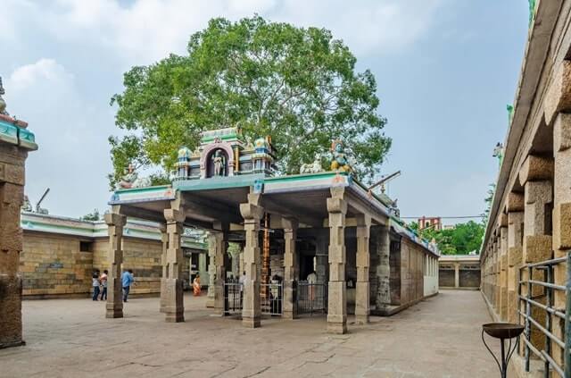 thiruvappudaiyar temple inside