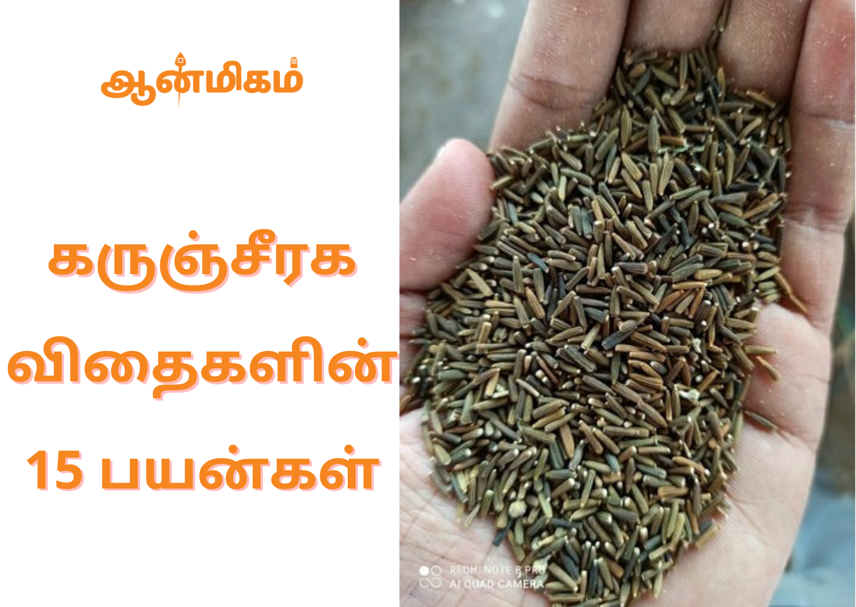 கருஞ்சீரக விதைகளின் 15 பயன்கள்