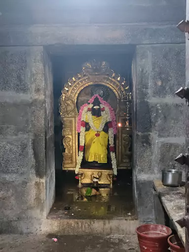 narthana-vallabeswarar-temple-amman-statue